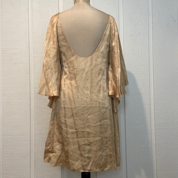 Rachel Zoe Silk Nude Dress w Low Back - Picture 3 of 5